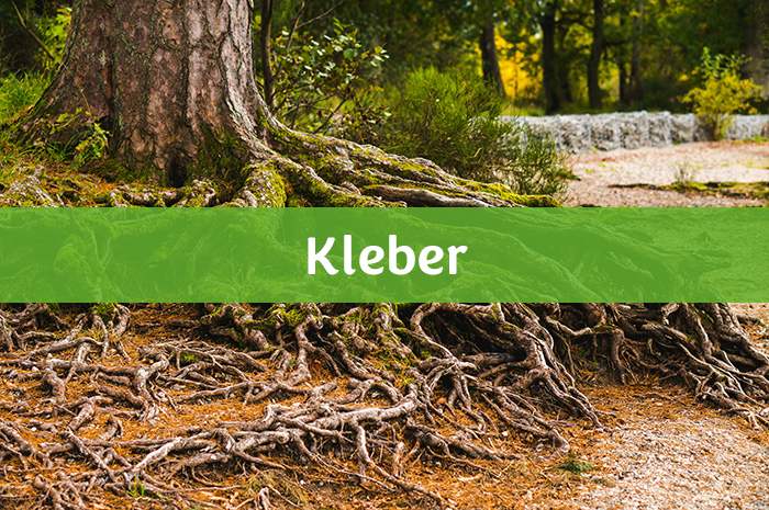 LEINOS Produktgruppe - Kleber