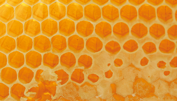 LEINOS Rohstoff - Bienenwachs